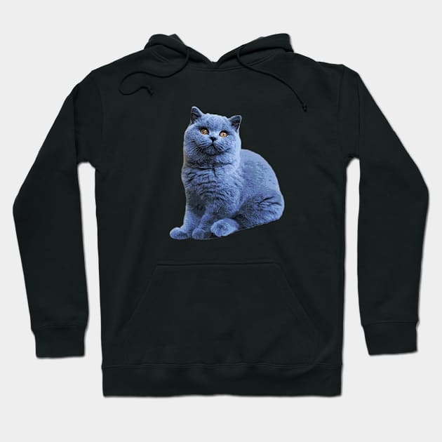 British Shorthair Cat Cute Blue Kitten Art Hoodie by ElegantCat